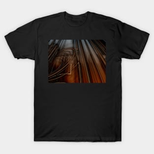 Fractals ...161 T-Shirt